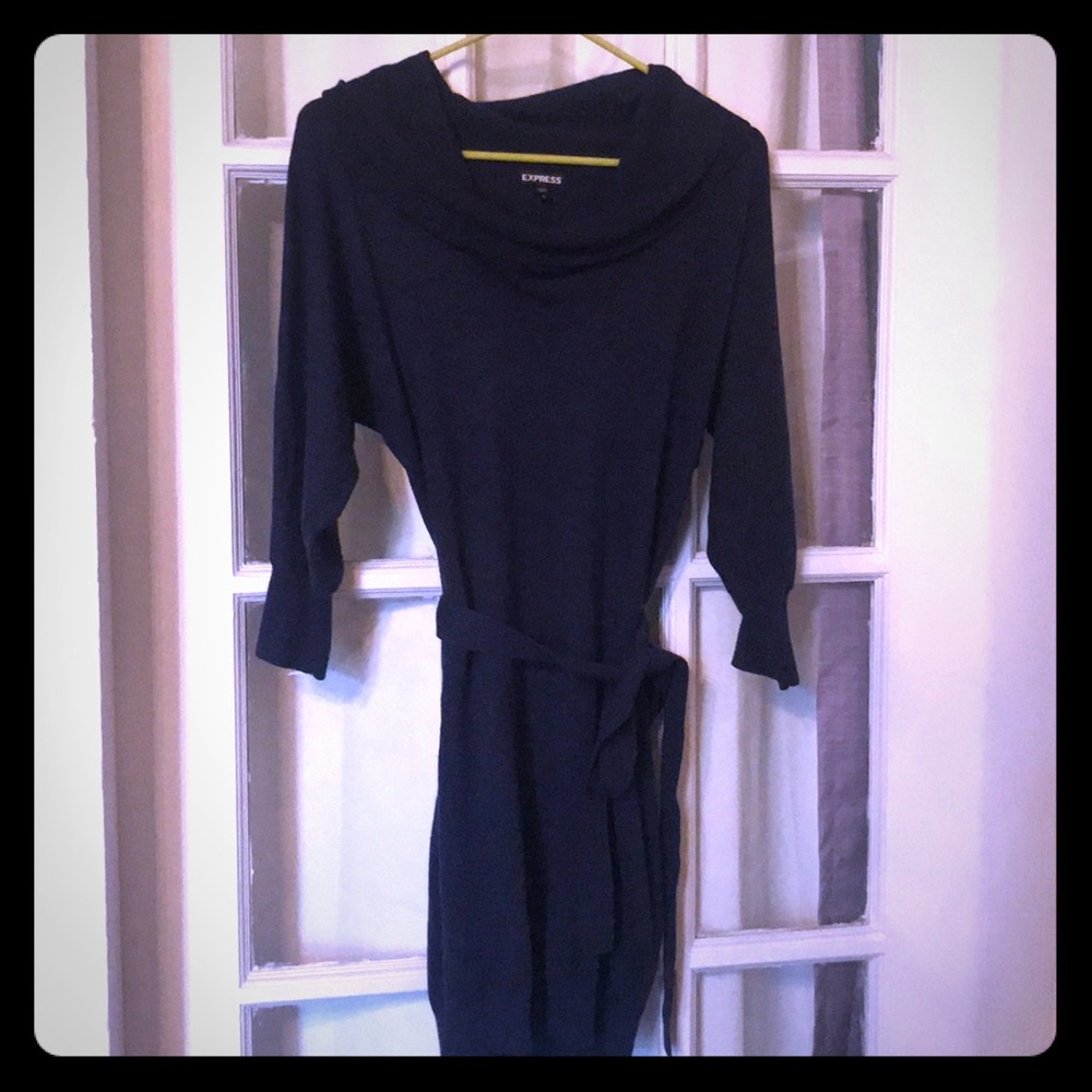 Express Sweater Dress